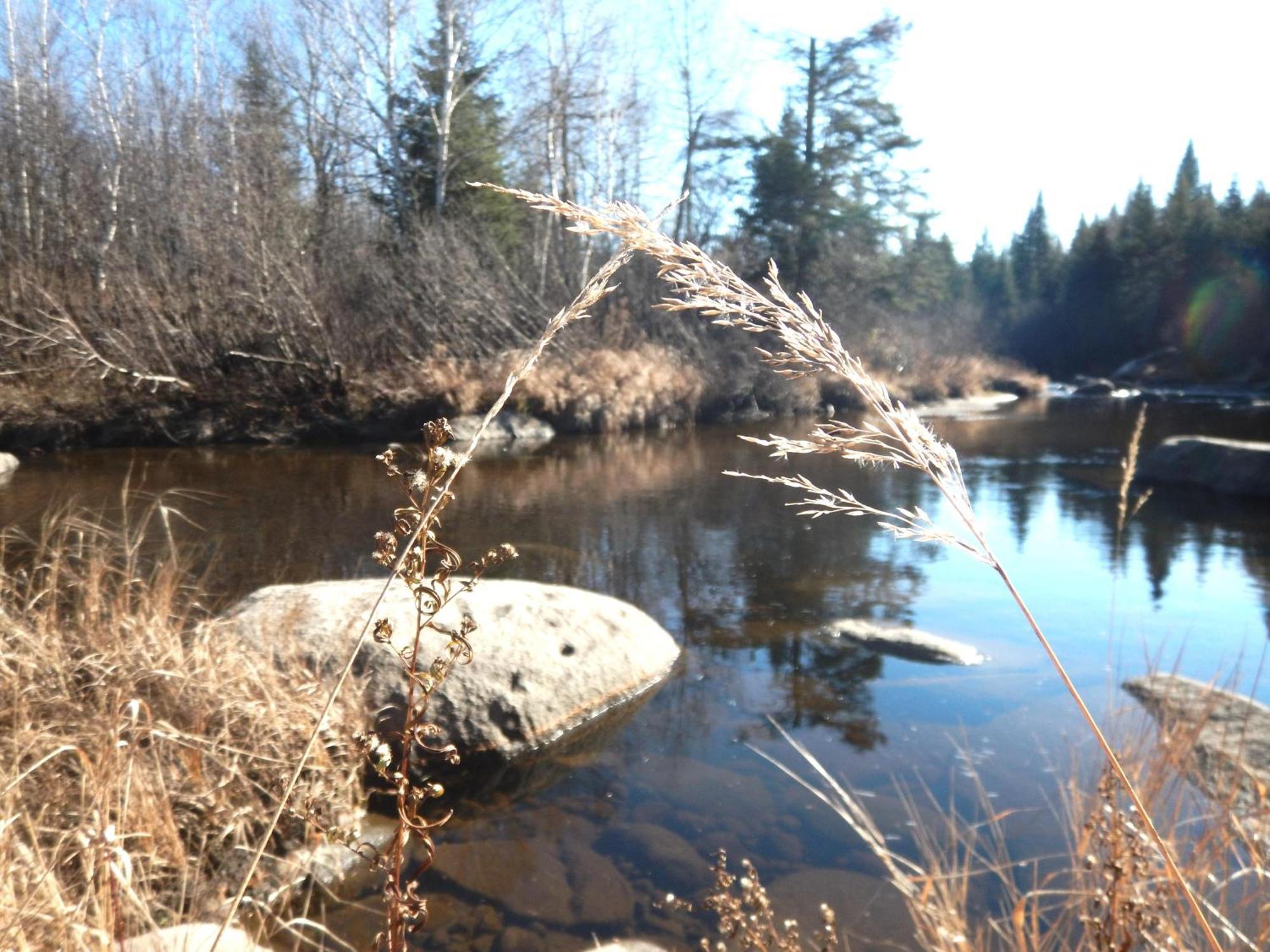 Aux Tipis De La Riviere Sauvage Βίλα Saint Romain Εξωτερικό φωτογραφία