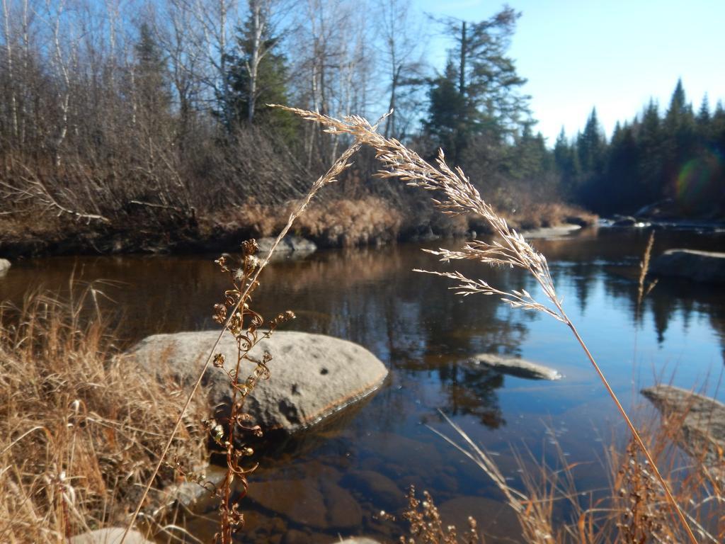 Aux Tipis De La Riviere Sauvage Βίλα Saint Romain Εξωτερικό φωτογραφία