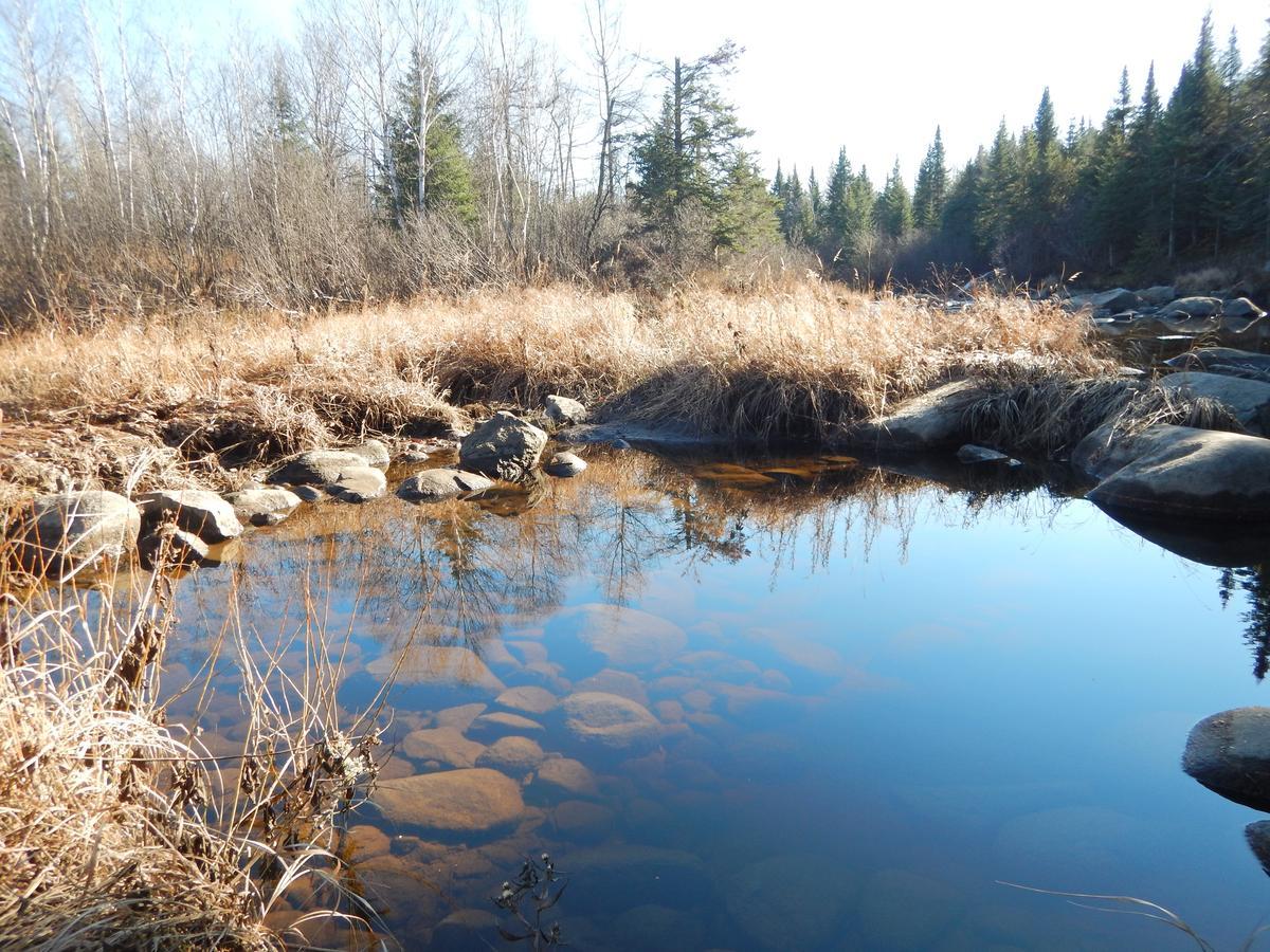 Aux Tipis De La Riviere Sauvage Βίλα Saint Romain Εξωτερικό φωτογραφία